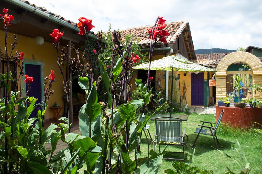 San Cristóbal de Las CasasJaguar You住宿加早餐旅馆 外观 照片
